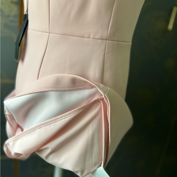 Rose Pink elegant cocktail dress- brand new with tag. Beautiful design. - Picture 12 of 13